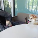 (주)친구네 이미지