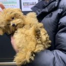견생 이발소 네이버블로그