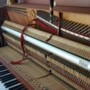 김해부곡초등학교 이미지