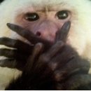 동광수산 이미지