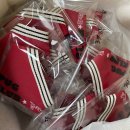 강아지클럽 이미지