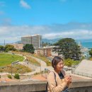 5월 넷째주 일상 : 에어프레미아 샌프란시스코 여행 치안 날씨 실시간 미국 서부 여행