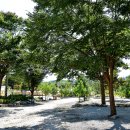 백운계곡캠핑장 이미지