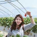 매골농장 이미지