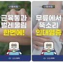 신신아 이미지
