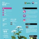 5월 이미지