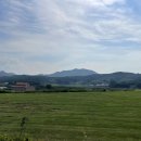 아벨농장 이미지