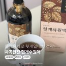 열매유통 | 차곡한잔 헛개수원액으로 물대용차 정착했다! 헛개열매차 제대로 고른 후기