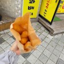 피스하우징(평화주택) 이미지