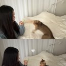 투링안경 이미지