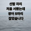 태안-호스릴-11 | 모항항 광어다운샷 출조 후기, 선탑 자리에서 광어 5마리 낚다