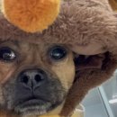 추계경로당 이미지