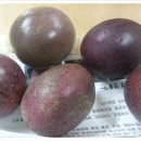 재열농장 이미지