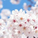 D.D푸드시스템 이미지