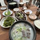 원돼지국밥 - 창원시 의창구 | 원돼지국밥