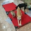 영농조합법인 버들인 이미지