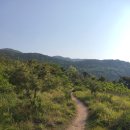 세렝게티 네이버블로그