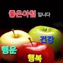 즐거운산책