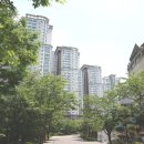 신반포로(북측) 이미지