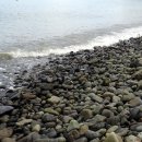 등대회관 이미지