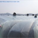 논공읍사무소 이미지