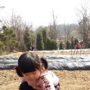서율농장 Daum카페