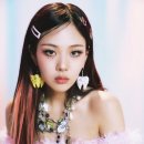 비비플로 이미지