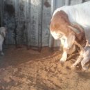 이천제이농장 이미지