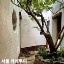 미로여인숙 | 서울 신당역 카페 추천 5곳