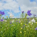 진등마을회관 이미지