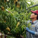 김영기 농장 이미지