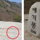 정상석 아이뉴스24
