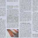 금빛나라