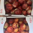 현수막젤싼집 | 더위를 피하고 싶은 사람의 7월 두 번째 일상