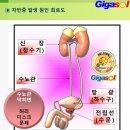 모세혈관종(자반증)~기가솔 근적외선 사우나 열방 이미지