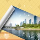 파인태양광발전소 이미지