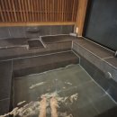 서라온5 이미지