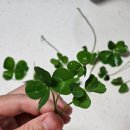 알리바이 금당점 이미지