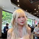 은하수미용실 - 태백시 | 인생 컬러 찾은 망원역 미용실 코브 합정점 백금발 변신 성공 후기