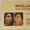 해피인셀덤
