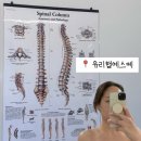 바디메뉴얼 | 지친 몸과 피부에 활력을! 유리햅에스떼 페이스앤바디워크 후기