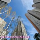 여주-0304 이미지