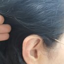 와이덱스보청기 | 와이덱스 시그니아독일보청기 도봉센터 어머니 모시고 다녀온 후기