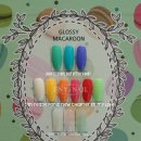 네일시즌(NAIL SEASON)