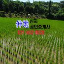 신지공인중개사사무소 이미지