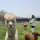 새별목장 이미지