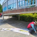 동촌유원지 녹수대 이미지