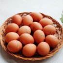 팀터틀랫 장유점 이미지