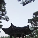 매여울생태공원 이미지