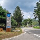 오대산 자연명상마을 옴뷔(OMV) 후기 - 홧병 치유 명상휴가! (강추)